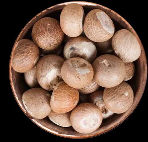 Arecanut