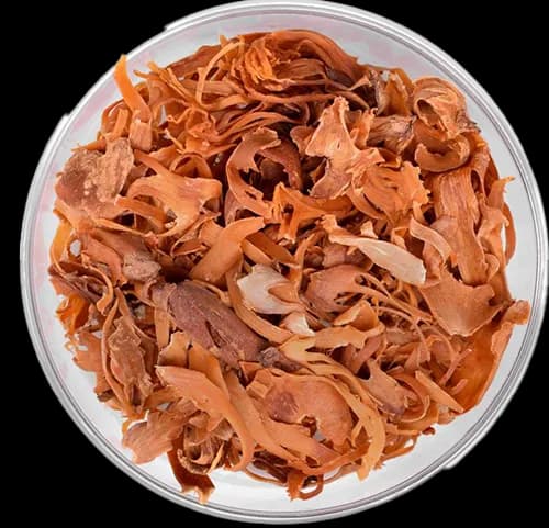 Mace